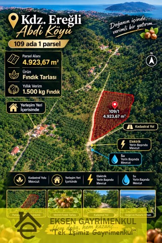 YERLEŞİM YERİ İÇERİSİNDE KADASTRAL YOLA SAHİP FINDIK BAHÇESİ